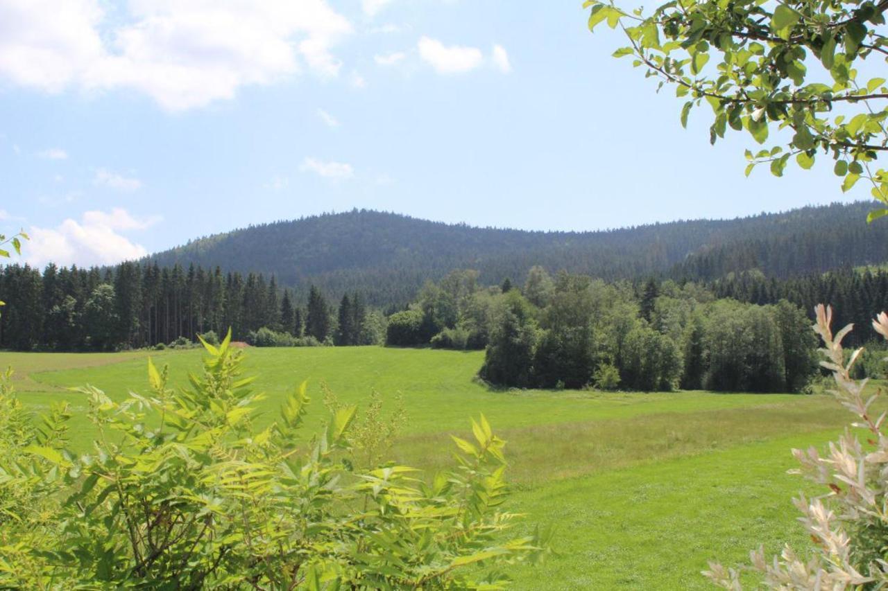 Ferienwohnungen Holzferienhaeuser Leithenwald Zwiesel Bagian luar foto