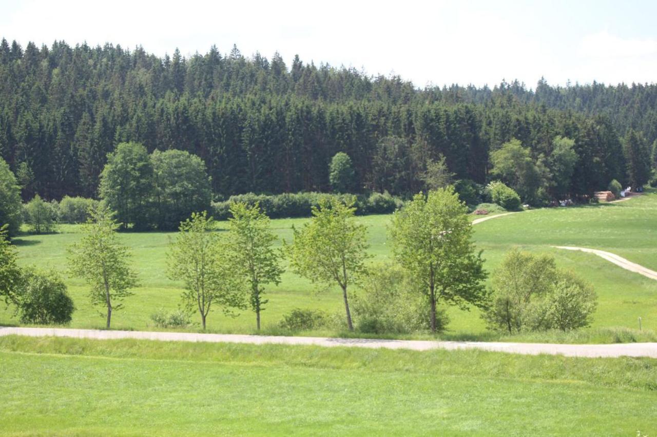 Ferienwohnungen Holzferienhaeuser Leithenwald Zwiesel Bagian luar foto
