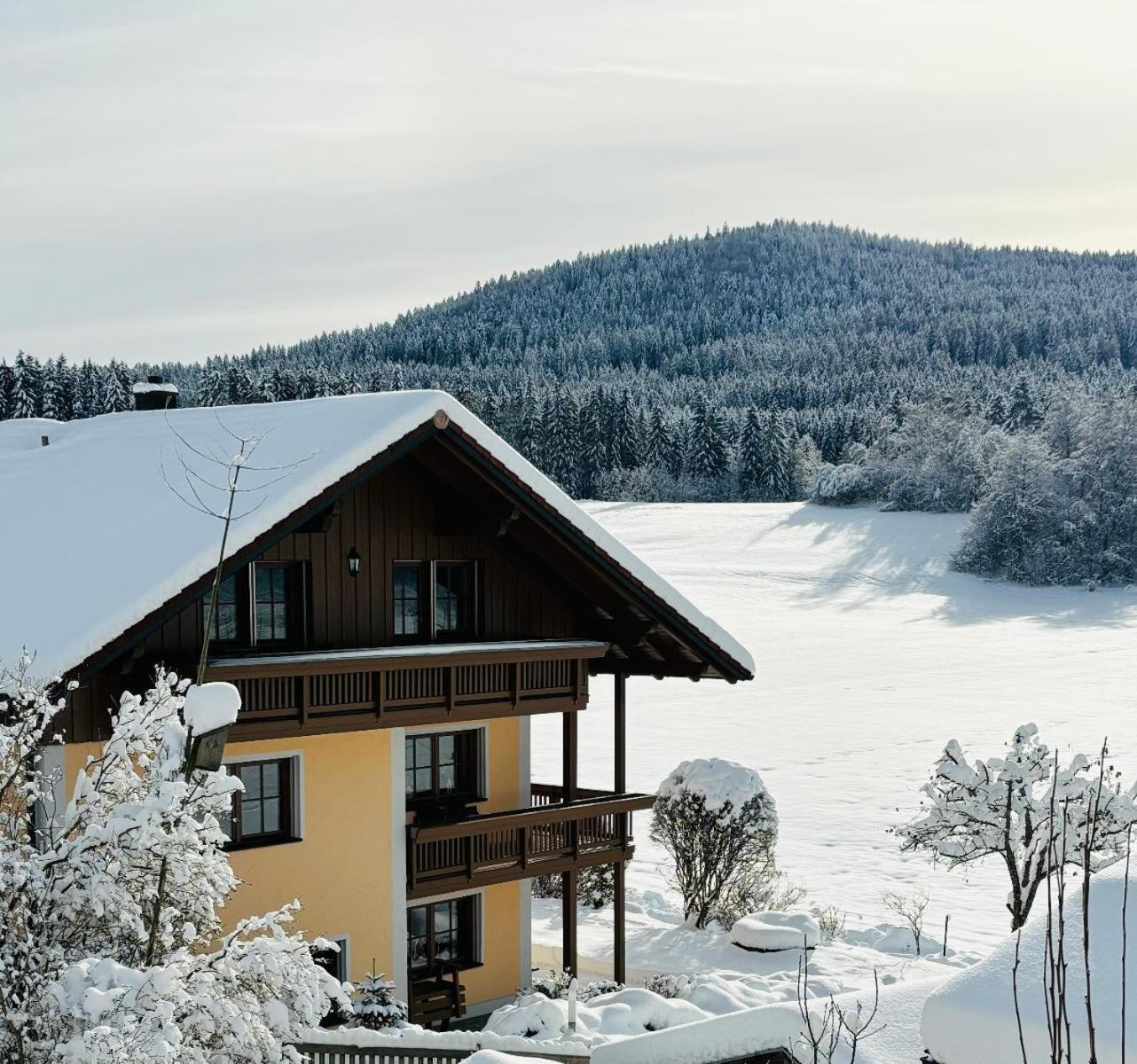 Ferienwohnungen Holzferienhaeuser Leithenwald Zwiesel Bagian luar foto