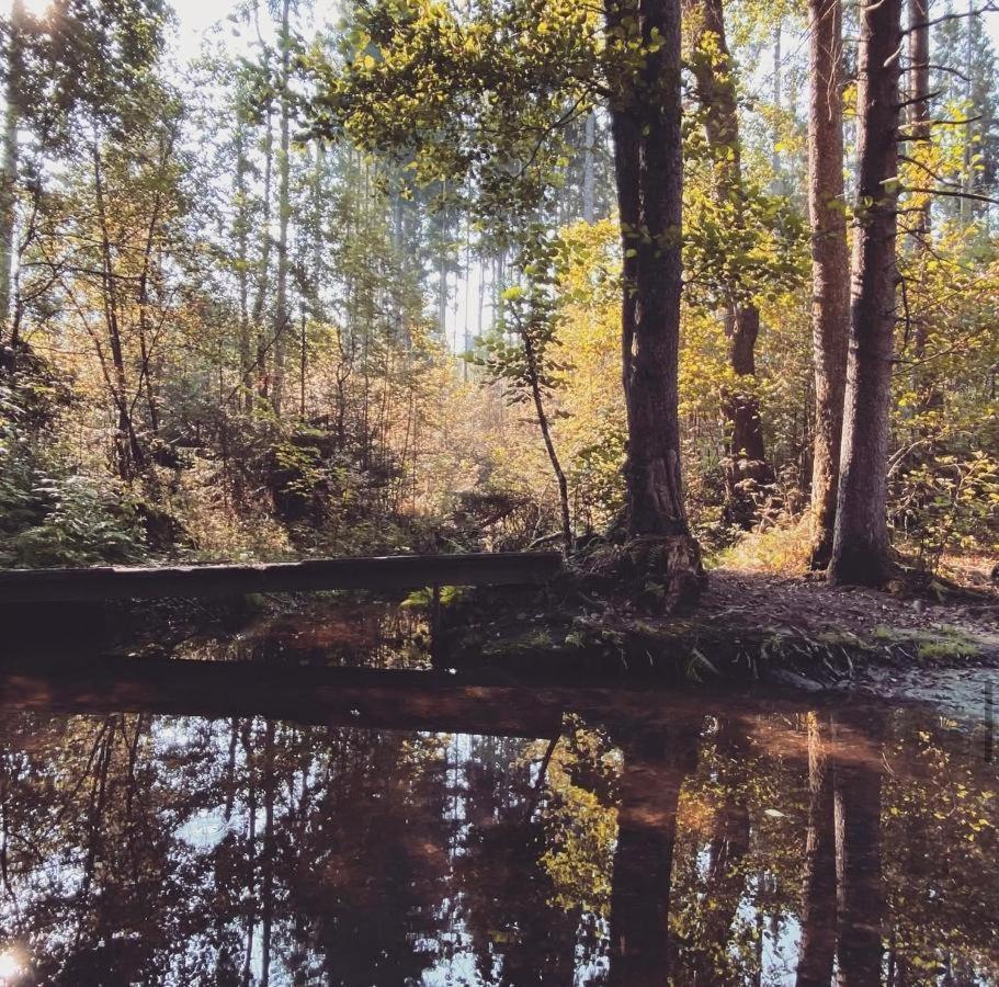 Ferienwohnungen Holzferienhaeuser Leithenwald Zwiesel Bagian luar foto